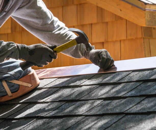Best Roof Repair Services  in Sebewaing, MI